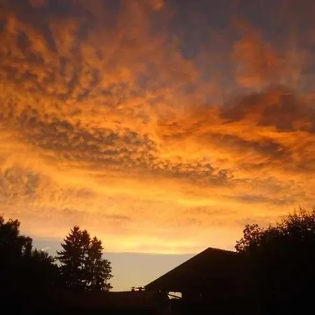 Lohbinder Fam Holzer